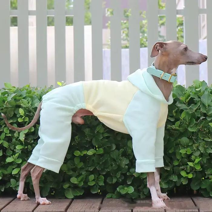 Hiver chien sweat à capuche Whippet manteaux pour animaux de compagnie Pyjamas