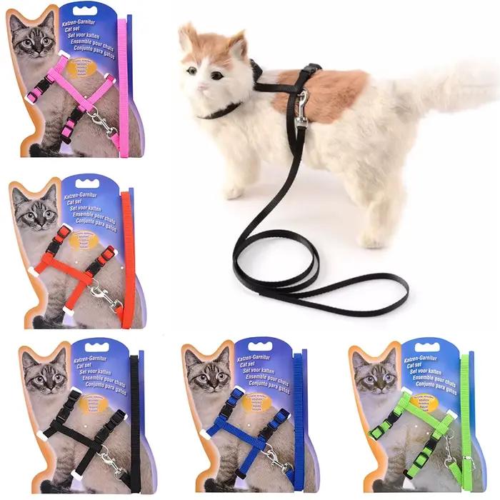 Collier réglable en nylon pour animal de compagnie