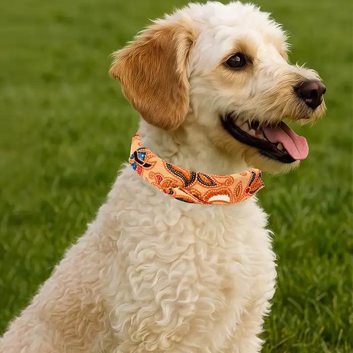 Collier en cuir PU adapté aux chats et aux chiens