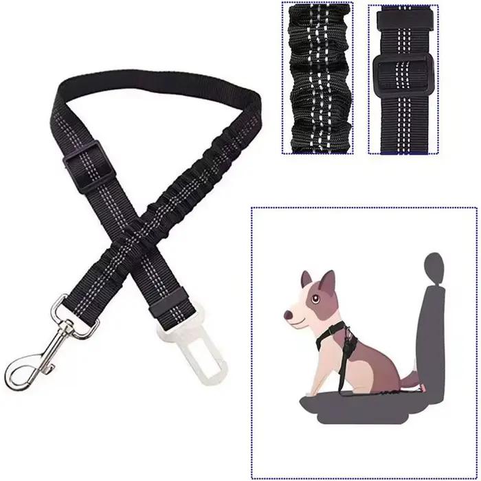 Laisse de sécurité pour chien