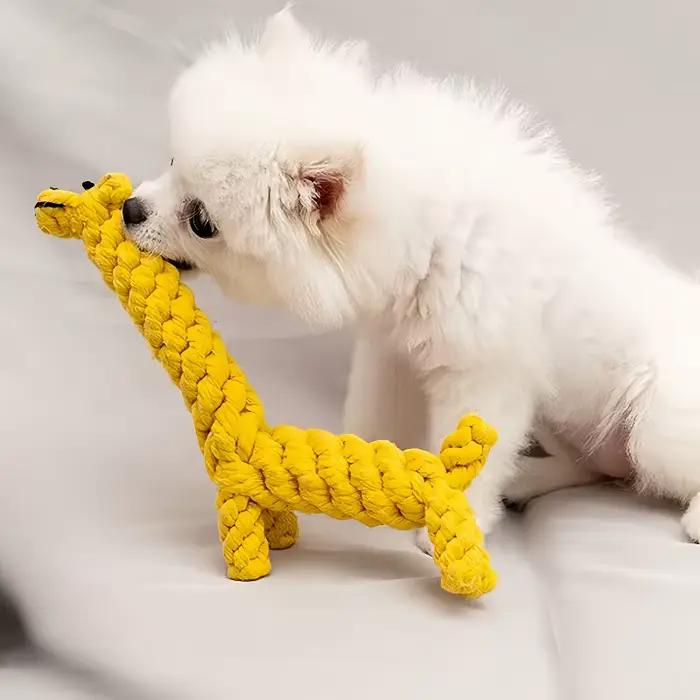 Jouets interactifs pour chiens