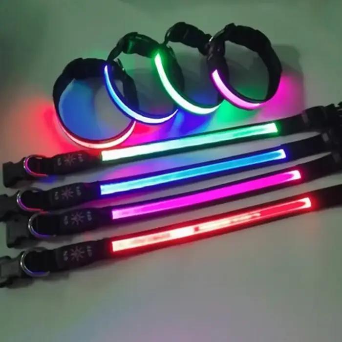 Collier lumineux LED pour chien