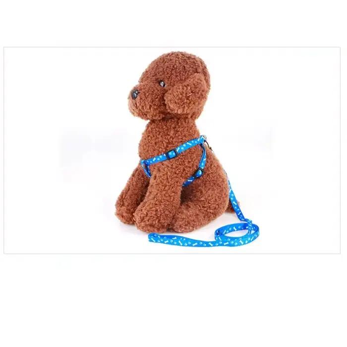 Laisse pour petit chien