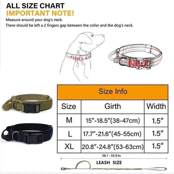 Collier pour chien Durable réglable militaire
