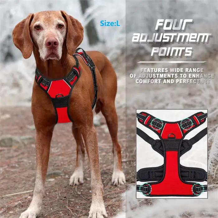 Harnais pour chien sans traction