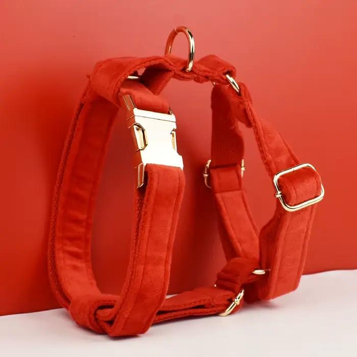 Ensemble collier et laisse pour chien en velours rouge