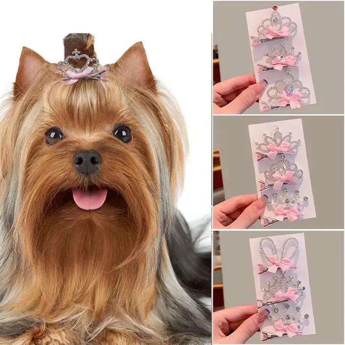 Accessoires pour chiens
