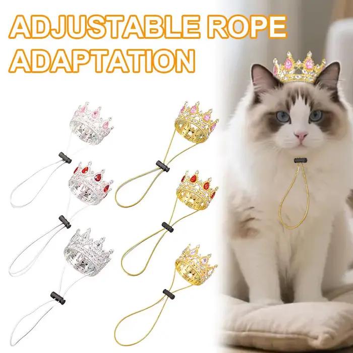 Couronne pour animaux de compagnie