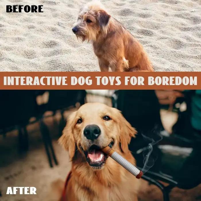 Jouets interactifs pour chiens, Cigarette créative, jouet à mâcher en peluche amusant avec son couinant, jouet à mâcher et à broyer, cadeaux pour animaux de compagnie
