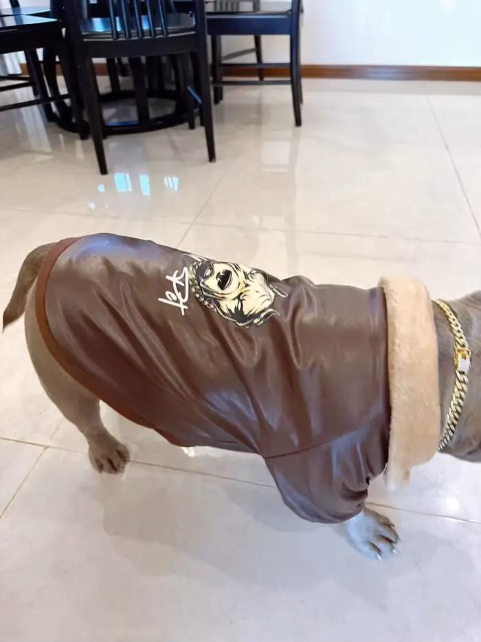 Carlin chien manteau veste hiver bouledogue français vêtements Schnauzer américain Bully Pitbull