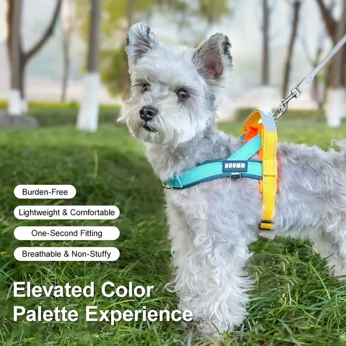 Harnais pour chien anti-traction en T