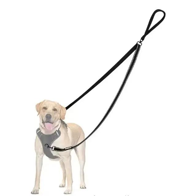 Laisse réfléchissante pour chien