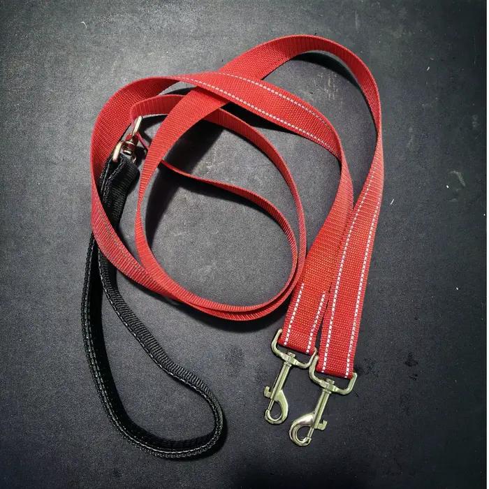 Laisse double pour chien