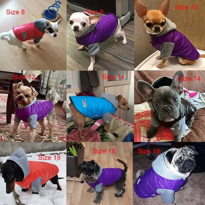 Veste à capuche pour animaux de compagnie pour petits et moyens chiens automne hiver chaud chiot manteau à capuche vêtements coupe-vent Chihuahua bouledogue français Costume