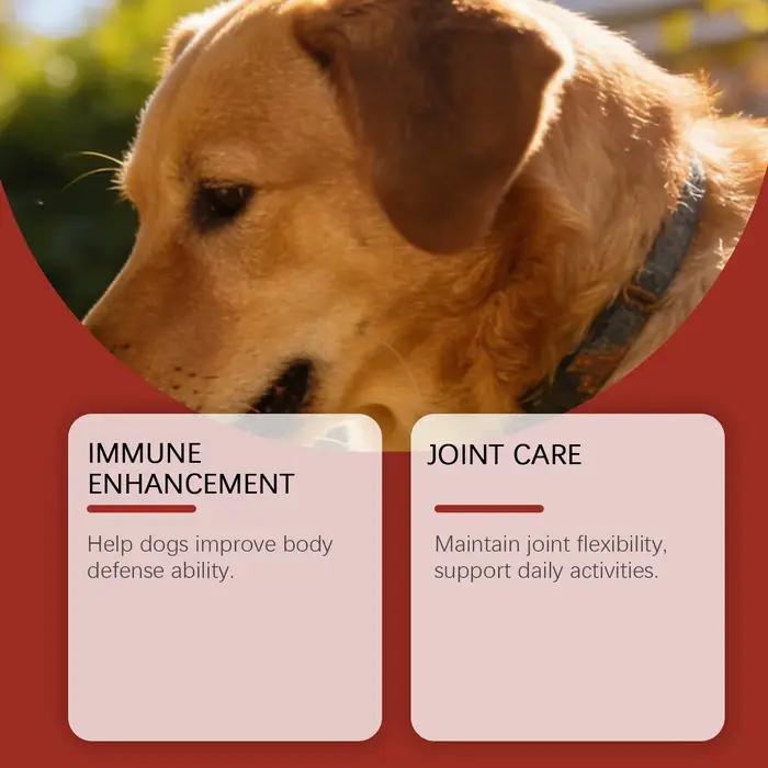Friandises à mâcher pour chiens Kriath saveur bœuf : Améliore la vitalité de votre animal