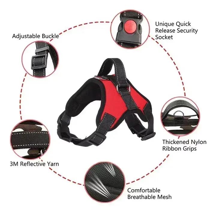 Ensemble laisse et laisse SFP pour chien