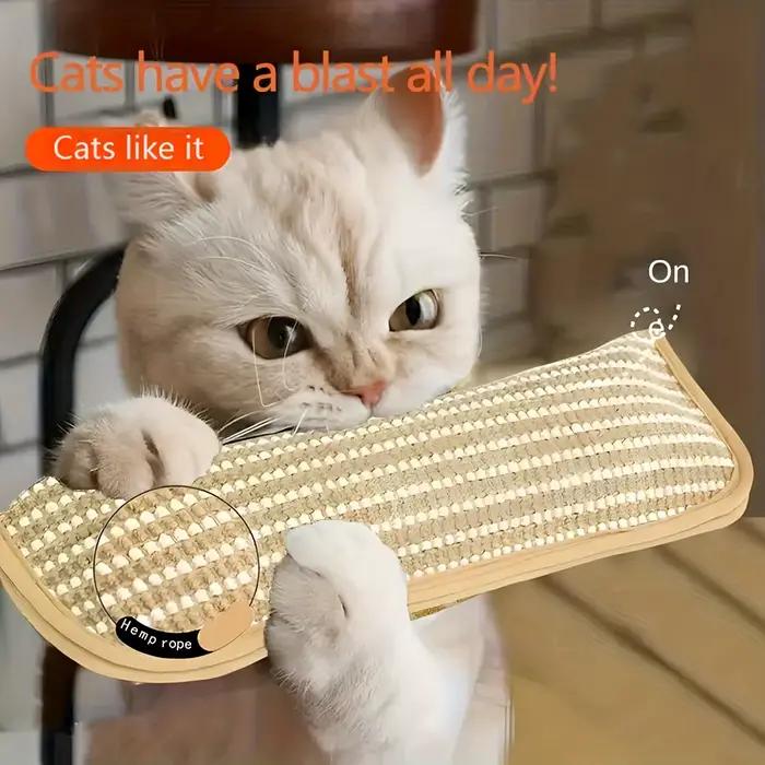 Coussin de jeu et griffoir pour chat pour le jeu individuel et l'interaction intime