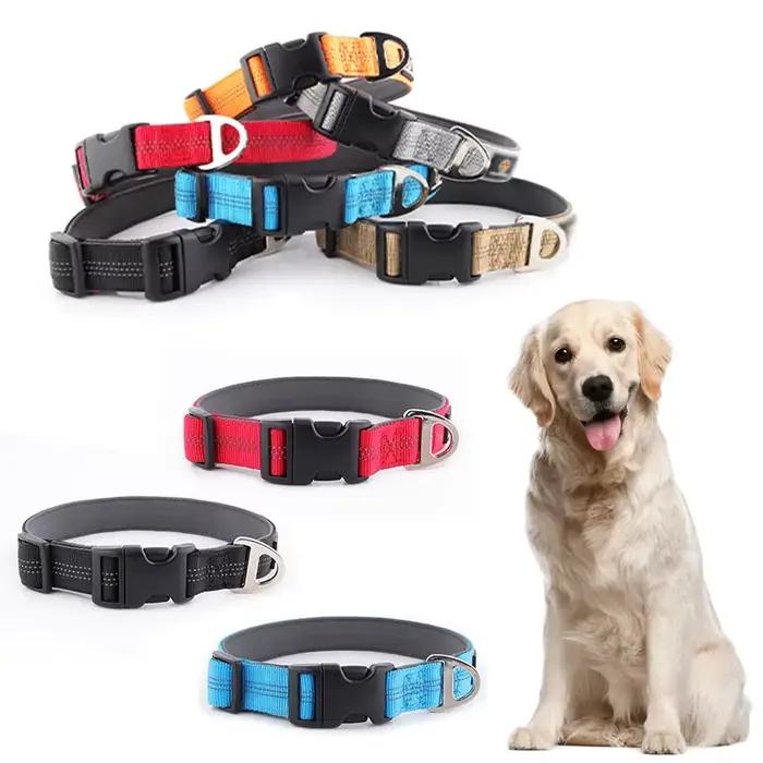Colliers réglables en acier inoxydable pour animaux de compagnie