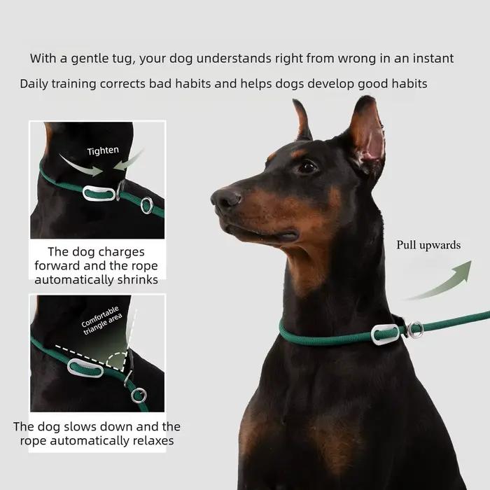 Ensemble collier et laisse pour chien en corde semi-ronde