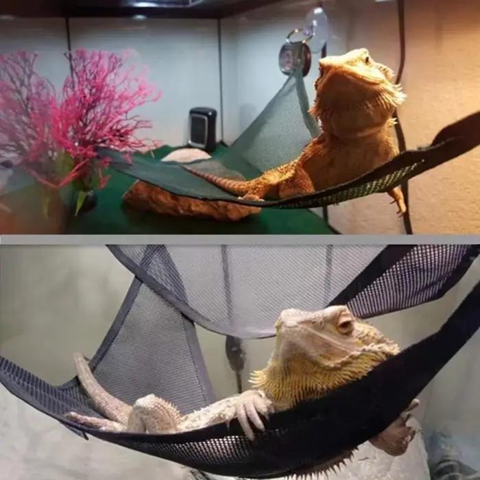 Ensemble d'accessoires pour reptiles : hamac