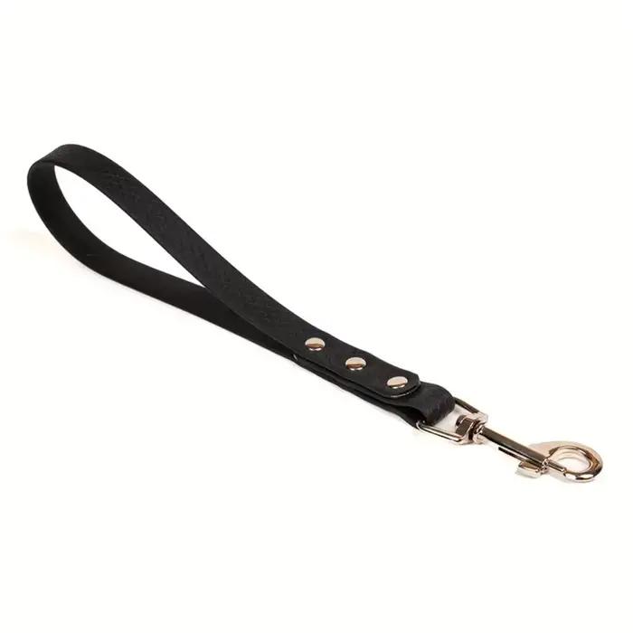 Laisse courte pour chien