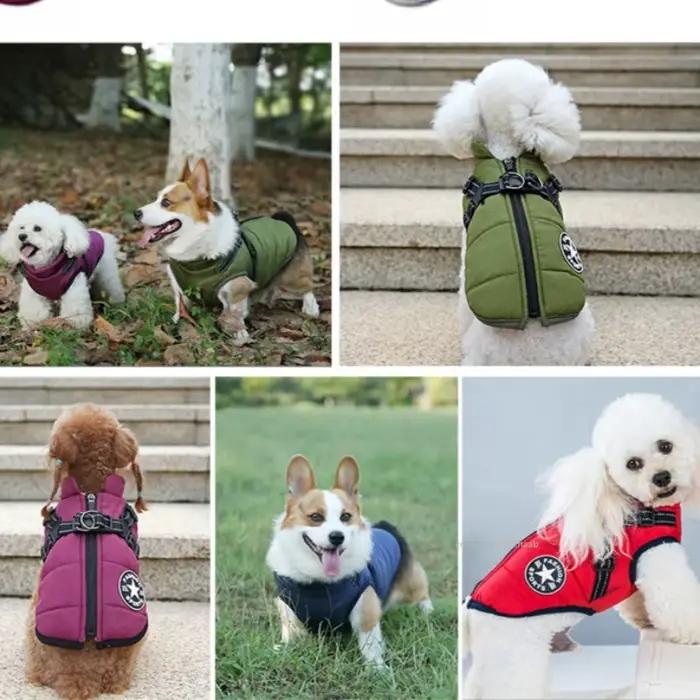 Veste d'hiver chaude pour chien avec harnais