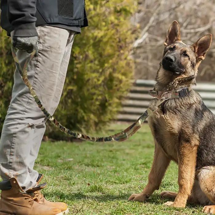 Collier tactique militaire pour chien solide