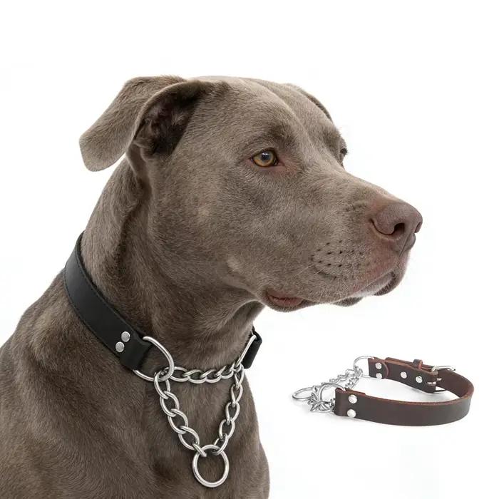 Collier de chien Martingale