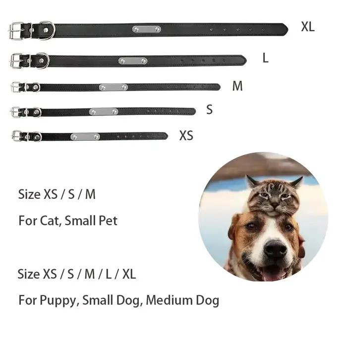 Collier de chien personnalisé avec nom sculpté