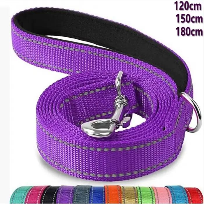 Laisse d'entraînement pour chien Petra pour chiens de petite à moyenne taille