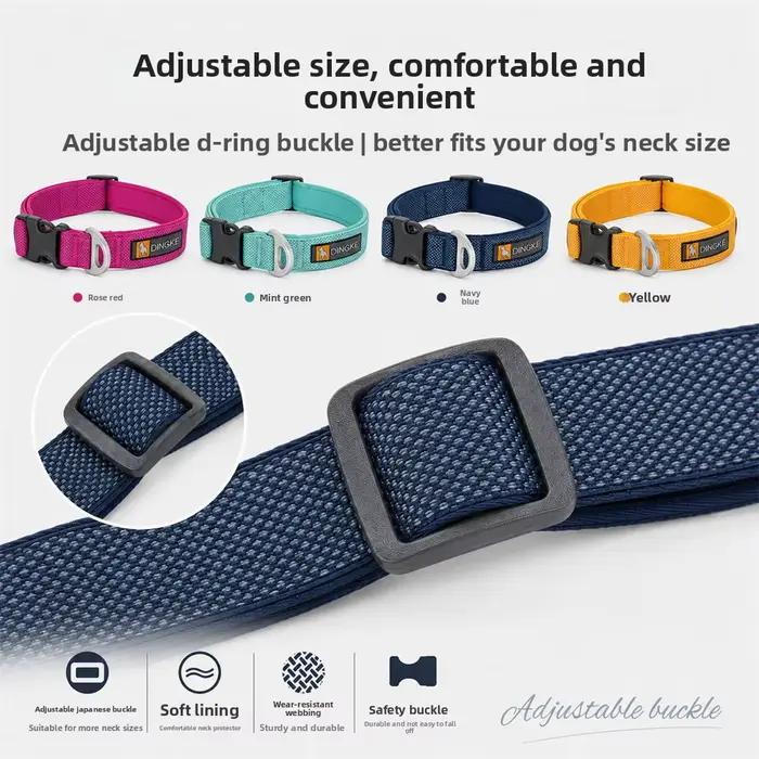 Nouveau collier pour chien