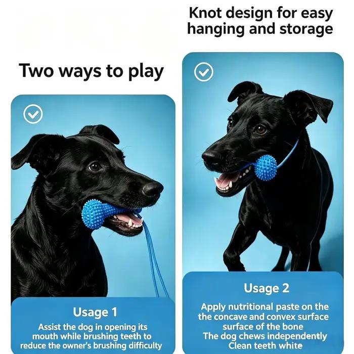 Brosse à dents pour chien pour un brossage facile