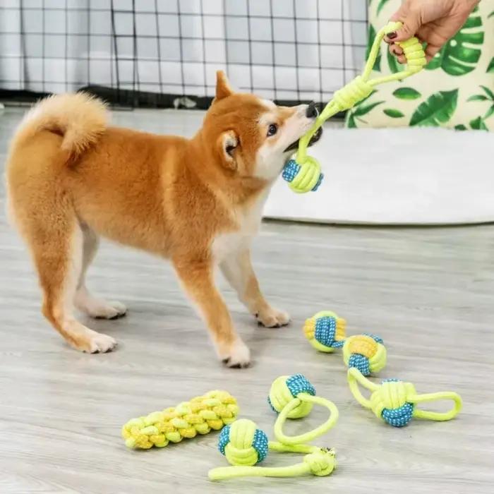Jouet pour chien, boule de corde