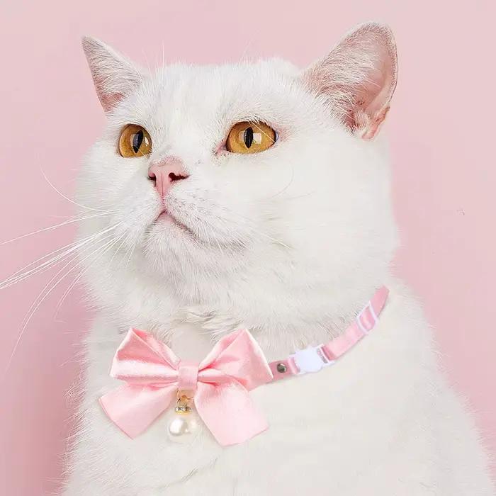 Collier en dentelle rose nickel é pour animal de compagnie