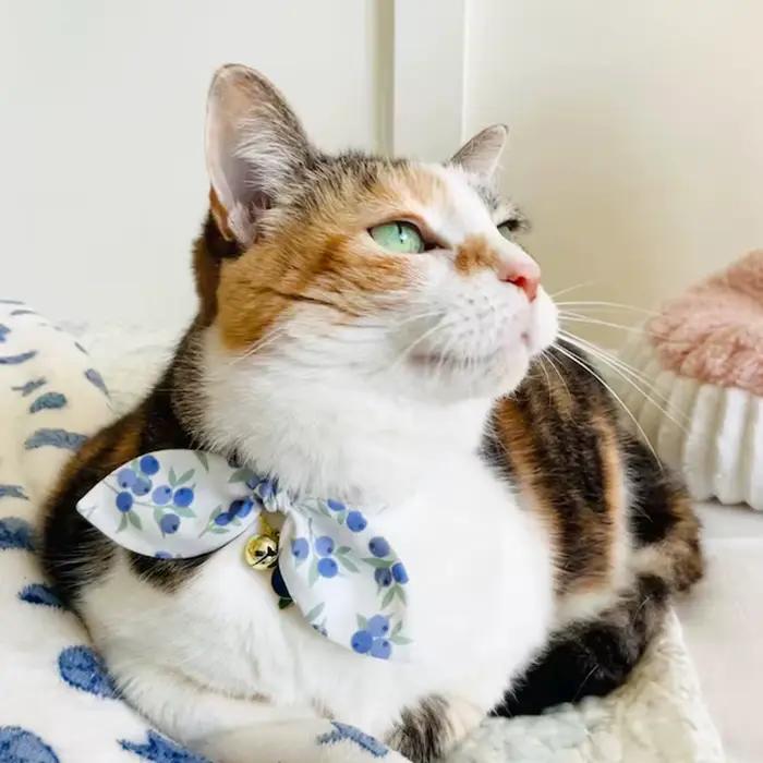 Collier pour chat avec pendentif bleuet et clochette, mignon et délicat, boucle antidérapante pour laisse de chat, accessoires décoratifs