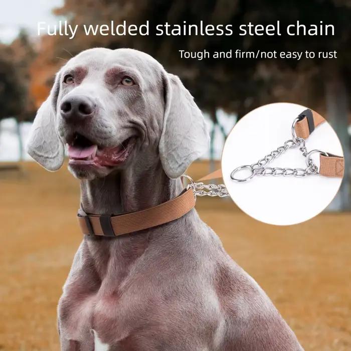 Collier pour animaux de compagnie en chaîne P antidéflagrant adapté aux chiens moyens et grands/perrues