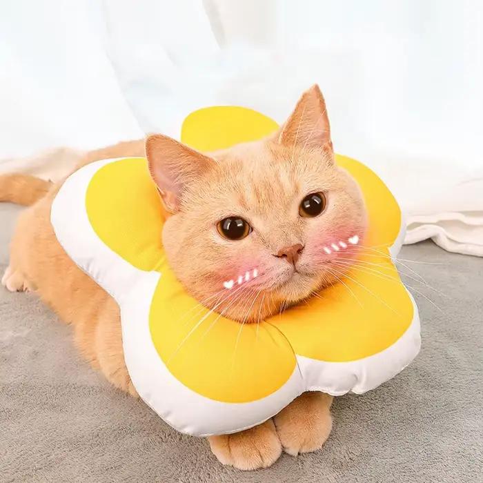 Couvre-tête de chat collier élisabéthain toilettage bain anti-léchage anti-rayures