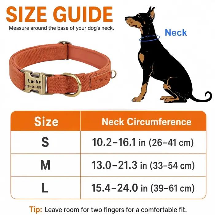 Collier et laisse personnalisés pour chien en cuir PU