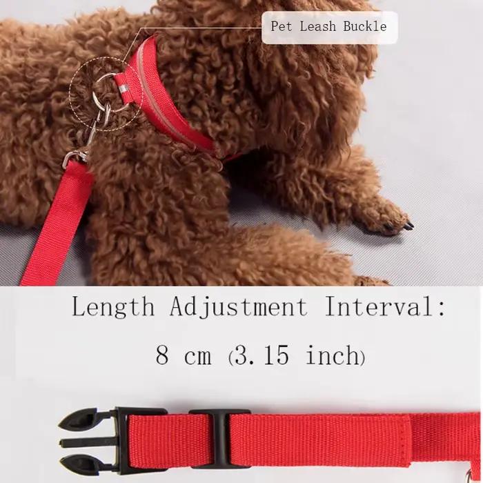 Collier pour chien lumière LED électronique sécurité nocturne Anti-perte Nylon réglable lumineux