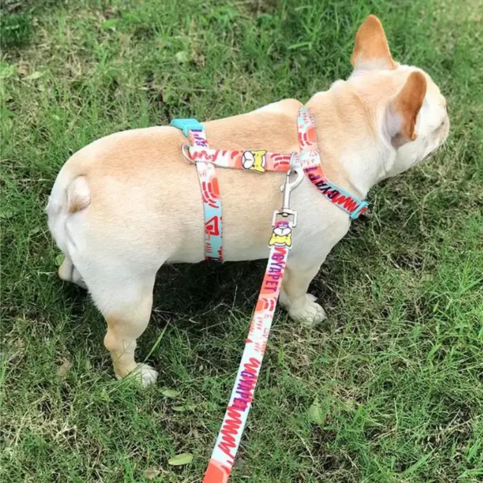 Ensemble SFP et laisse pour petits chiens