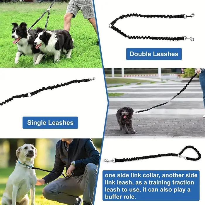Laisses doubles pour chien de compagnie-coupleur de laisse