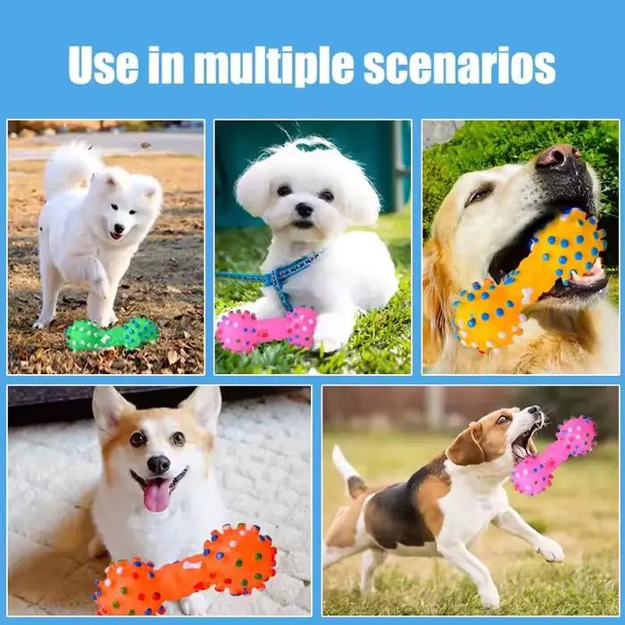 Jouet à mâcher pour chien