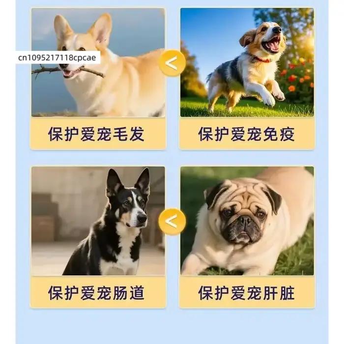 Friandises Probiotiques pour Chiens – Soutien Digestif Saveur Poulet – 120 Bouchées Moelleuses – Complément pour la