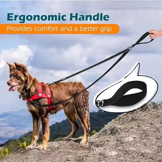 Laisse réfléchissante pour chien