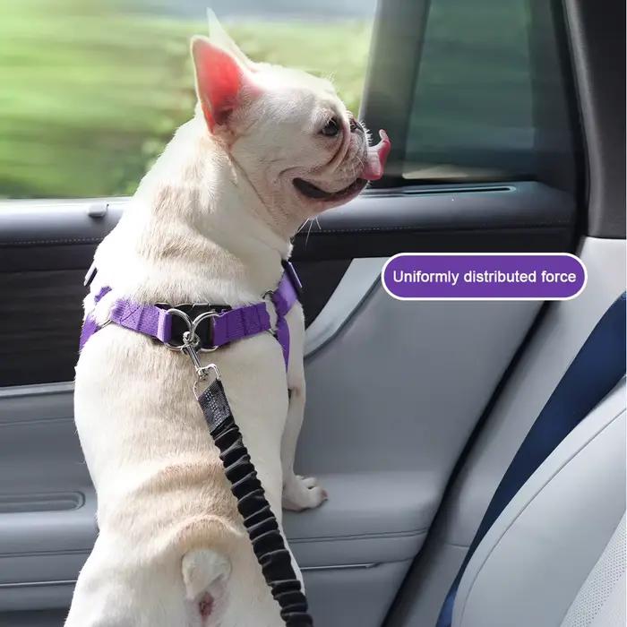 Harnais de sécurité pour chien pour voiture classique