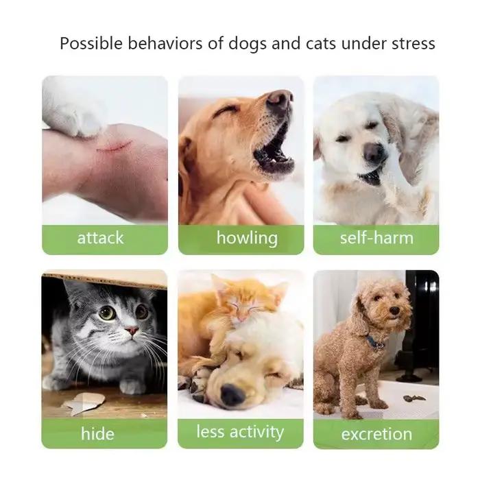 Virbac Anxitane-Friandises pour chiens et chats, 30 comprimés à mâcher pour instituts soulignés