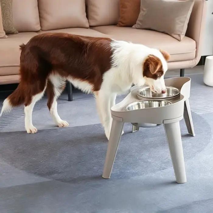 Bols antidérapants en acier inoxydable pour chiens et chats