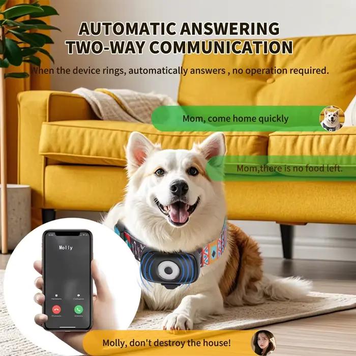 Collier GPS intelligent 4G pour chiens et chats, sans frais mensuels, sans abonnement, sans frais cachés, alarme anti-perte et géolocalisation