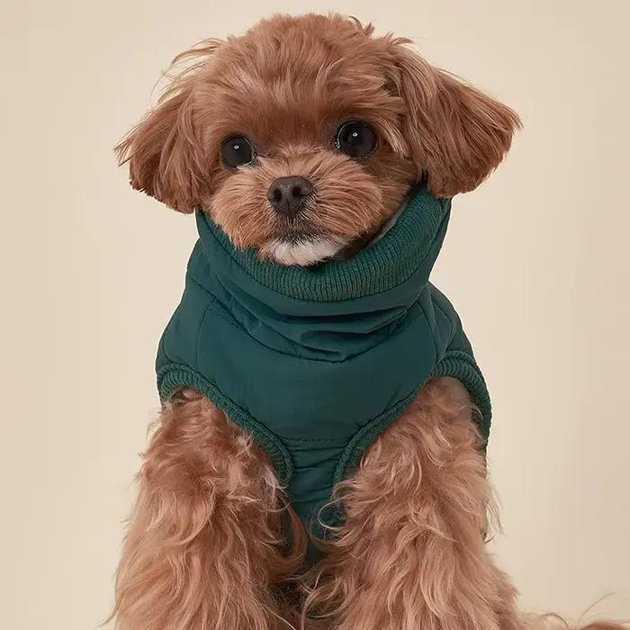 Manteau pour chien, veste chaude d'hiver