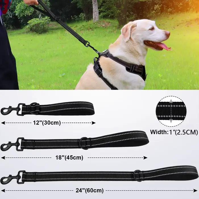 Laisse courte pour chien